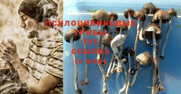 не бодяженный Баксан