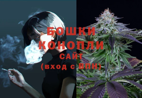 PSILOCYBIN Балабаново
