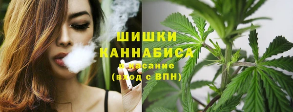 PSILOCYBIN Балабаново